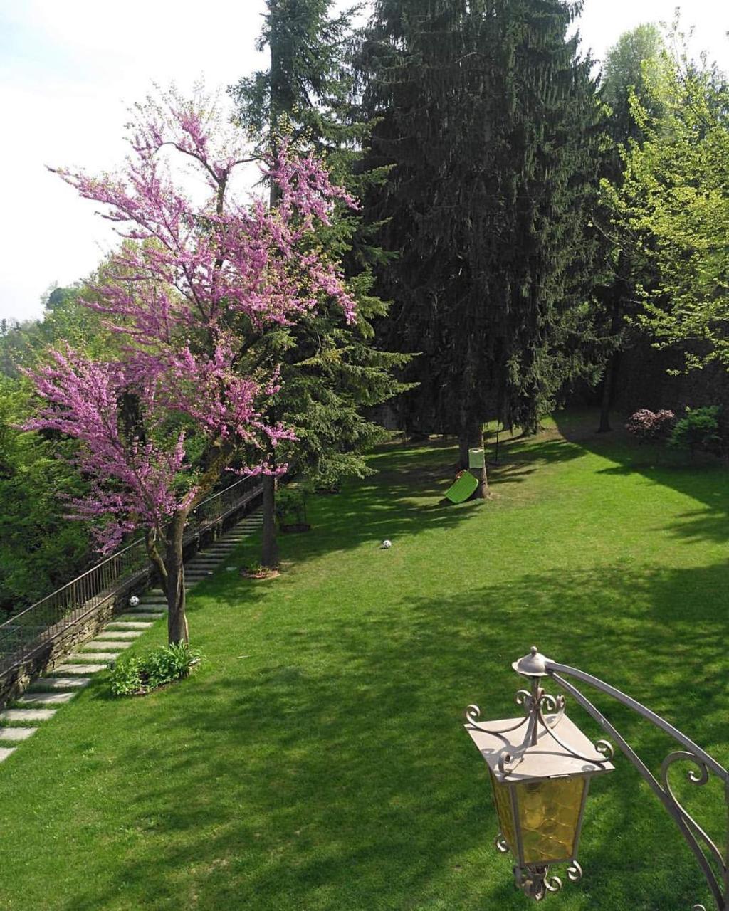 B&B Dimora Delle Donnole Bergamo Alta Zewnętrze zdjęcie